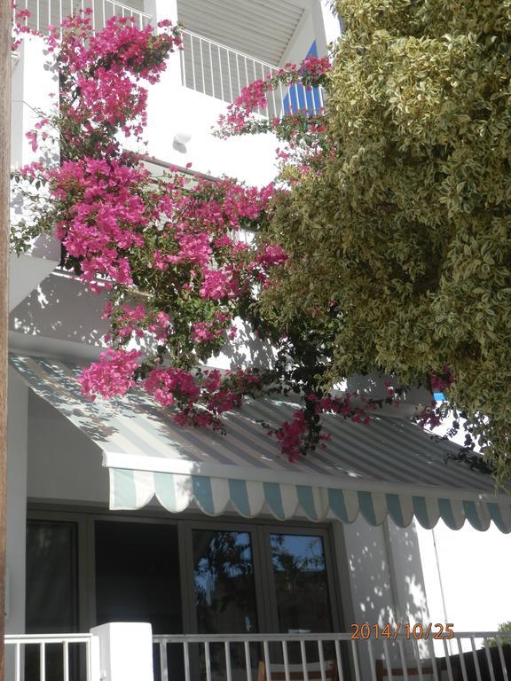 Glaros Hotel Apartment Agia Galini  Room photo